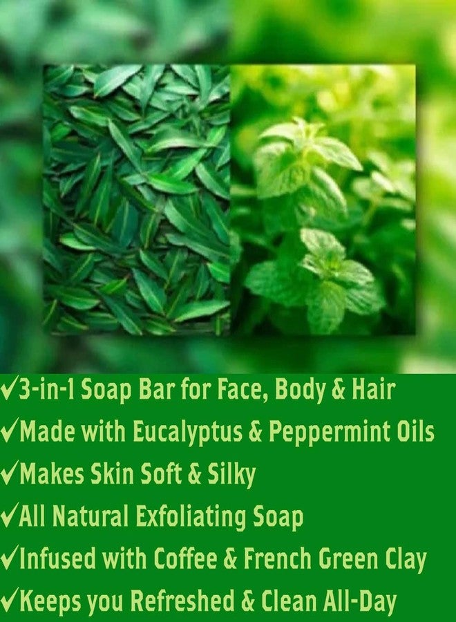 أوليفيا كير صابون أوليفيا كير المقشر بالقهوة، عبوة 3 في 1 متعددة الاستخدامات للشعر والوجه والجسم، طبيعي وعضوي 100%، غني بزيوت الأوكالبتوس والنعناع العطرية، ينظف بعمق ويرطب البشرة، 2 × 5 أونصة - Image 3